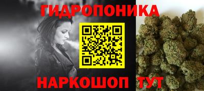 apvp Гусев