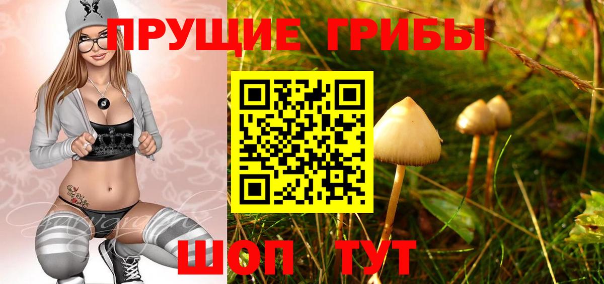Новодвинск  Псилоцибиновые грибы MAGIC MUSHROOMS  Вход с VPN 