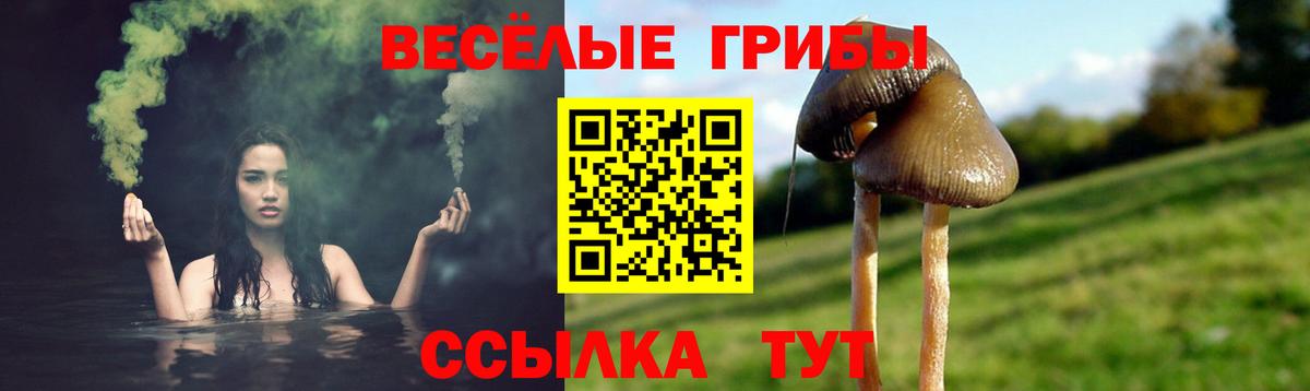 Галлюциногенные грибы мухоморы Новодвинск